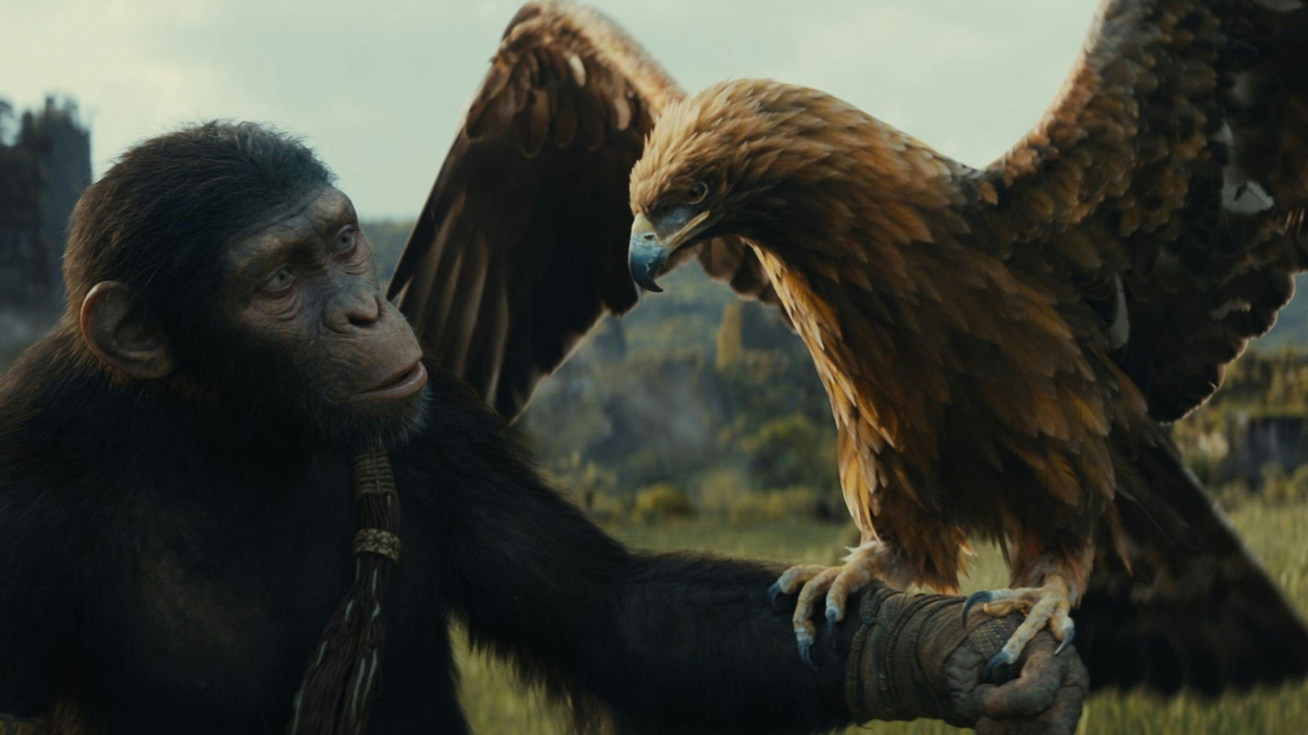 Noa (interpretada por Owen Teague) sujetando un águila en un fotograma promocional de 'El reino del planeta de los simios' 
