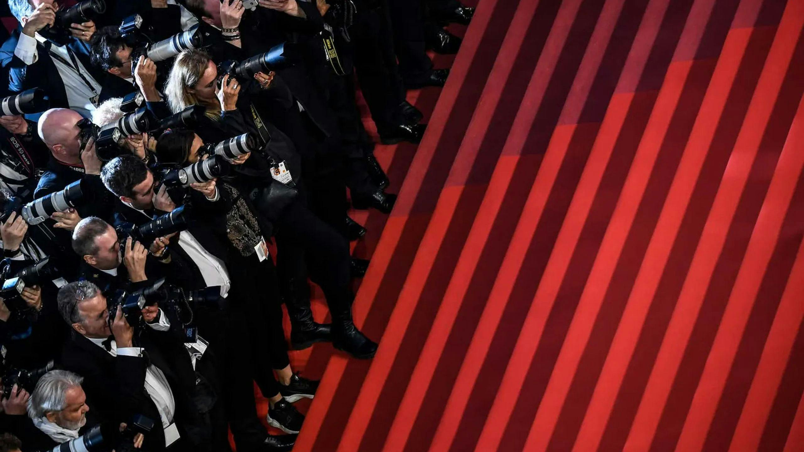 Un grupo de fotógrafos y fotógrafas, al pie de la escalinata del Palais des Festivals de Cannes en 2019