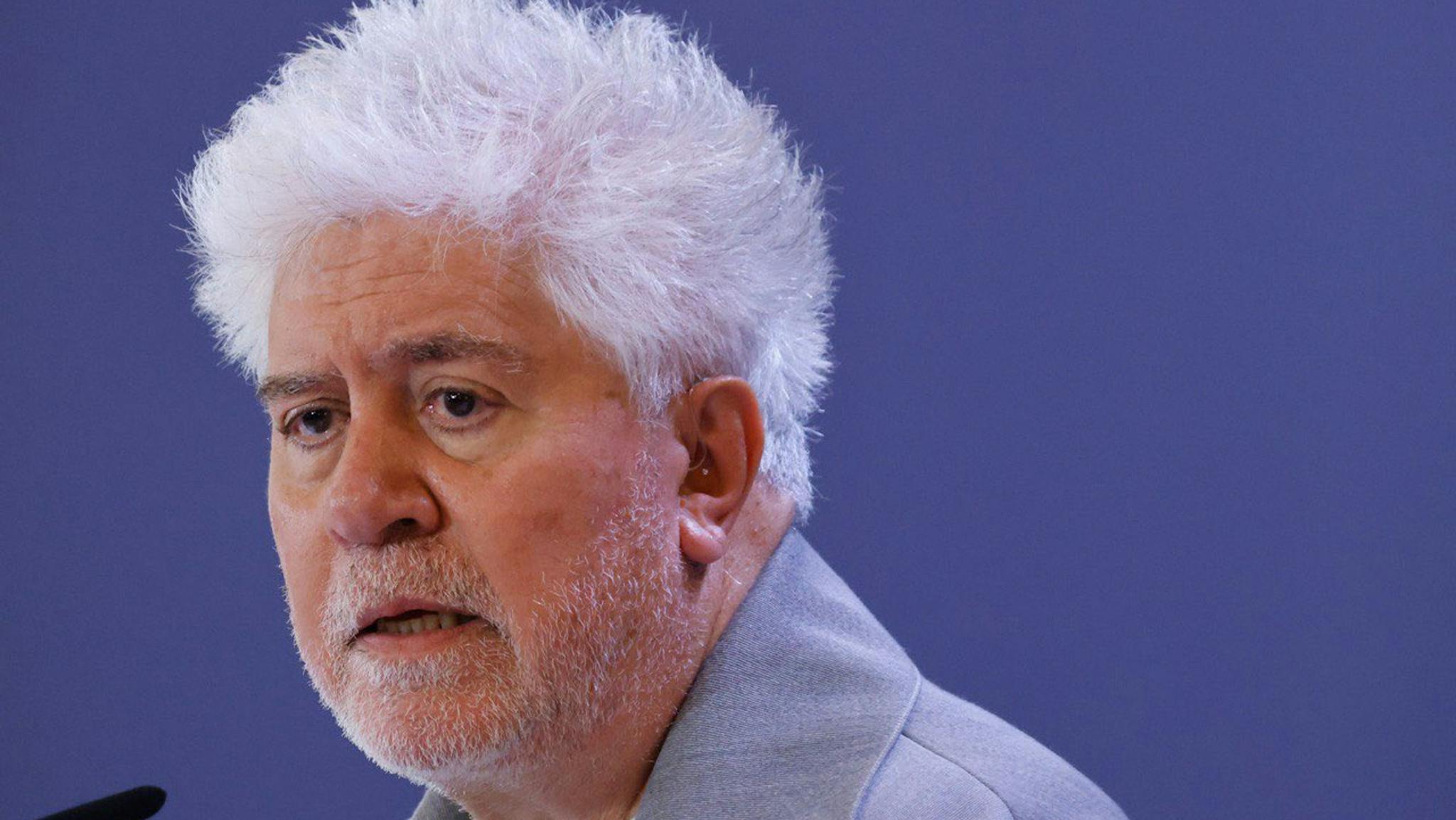 Pedro Almodóvar en la rueda de prensa de presentación de 'La habitación de al lado' 