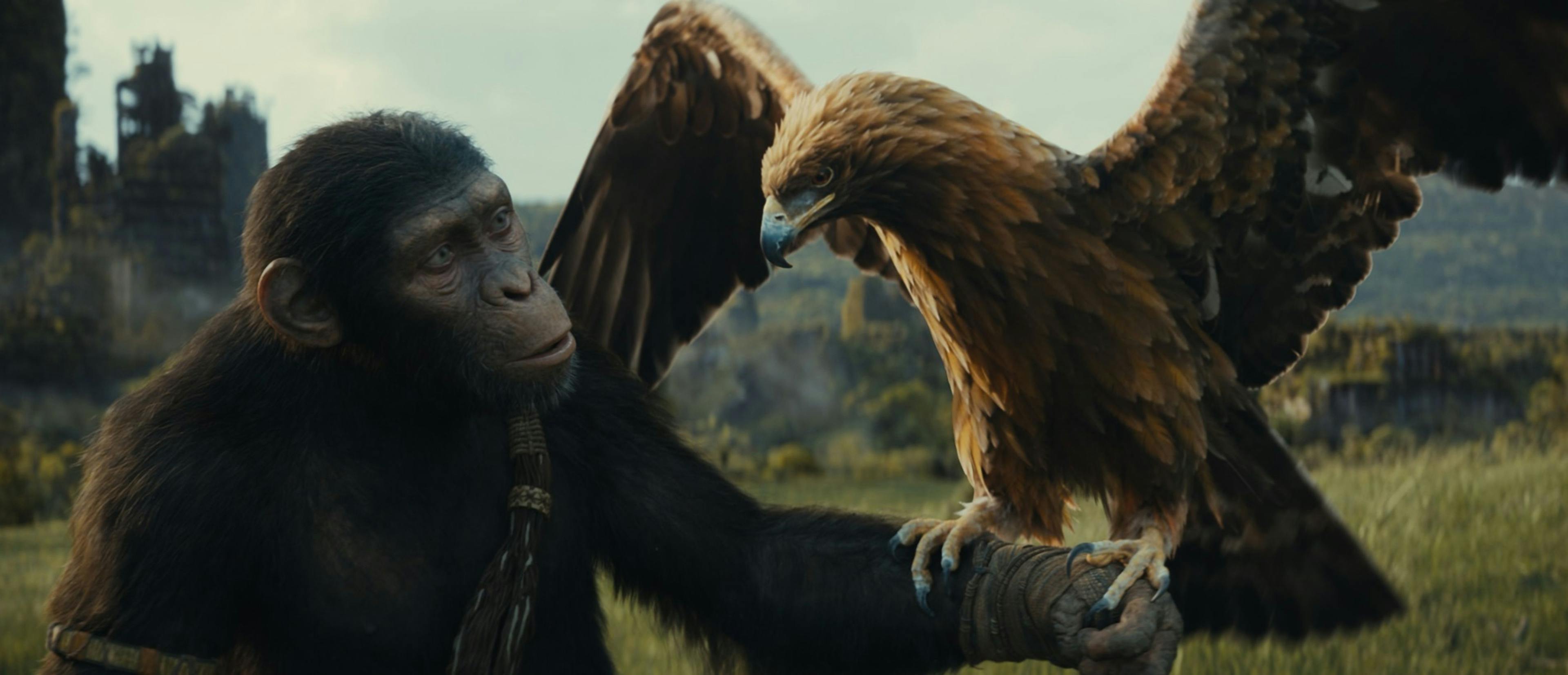 Noa (interpretada por Owen Teague) sujetando un águila en un fotograma promocional de 'El reino del planeta de los simios' 