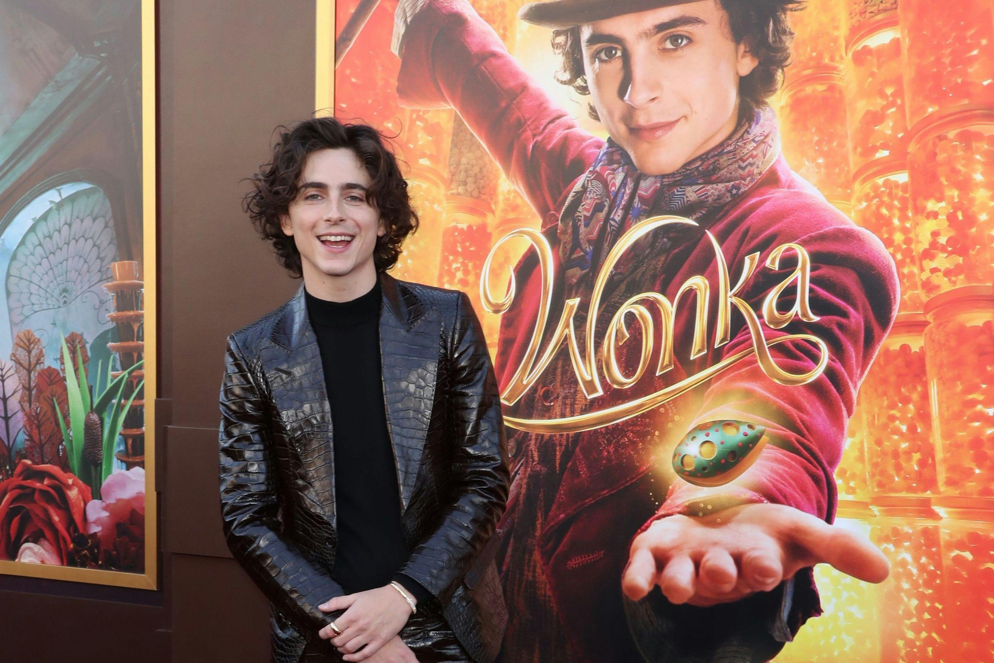 El actor Timothée Chalamet posa ante los fotógrafos en la premiere de 'Wonka' en Los Ángeles