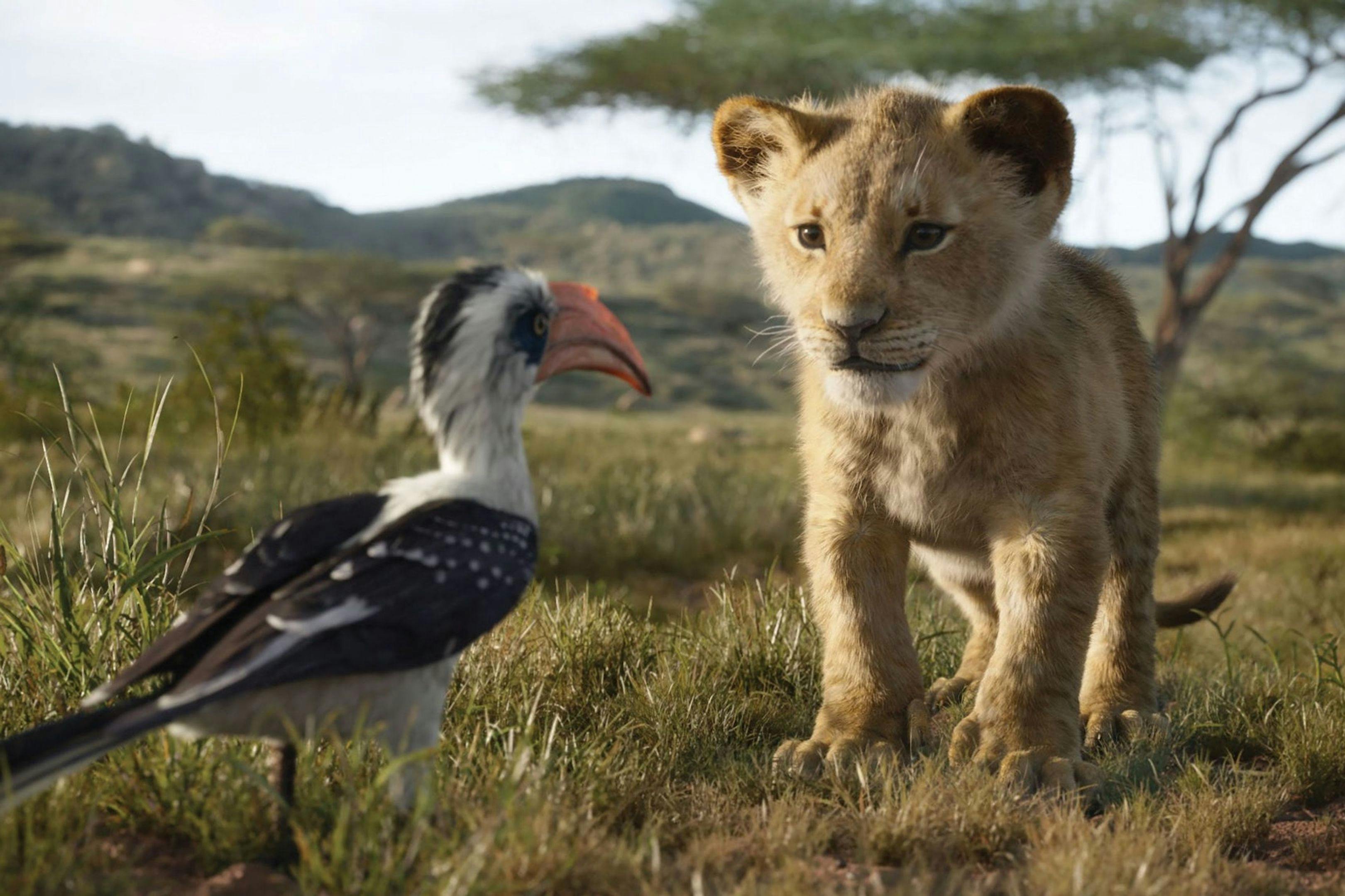 La secuela de 'El rey león' ahora llegará en noviembre de 2025, cuatro meses más tarde de lo previsto