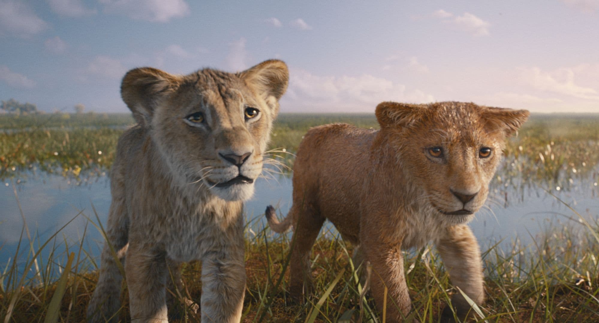 Fotograma promocional de 'Mufasa: El rey león', dirigida por Barry Jenkins