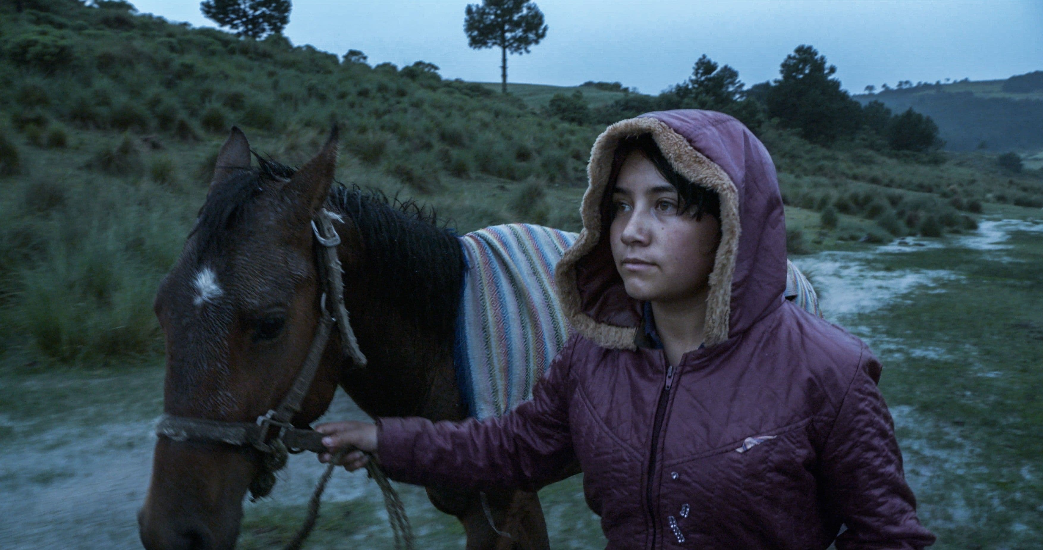 Fotograma promocional del documental 'El eco', de Tatiana Huezo