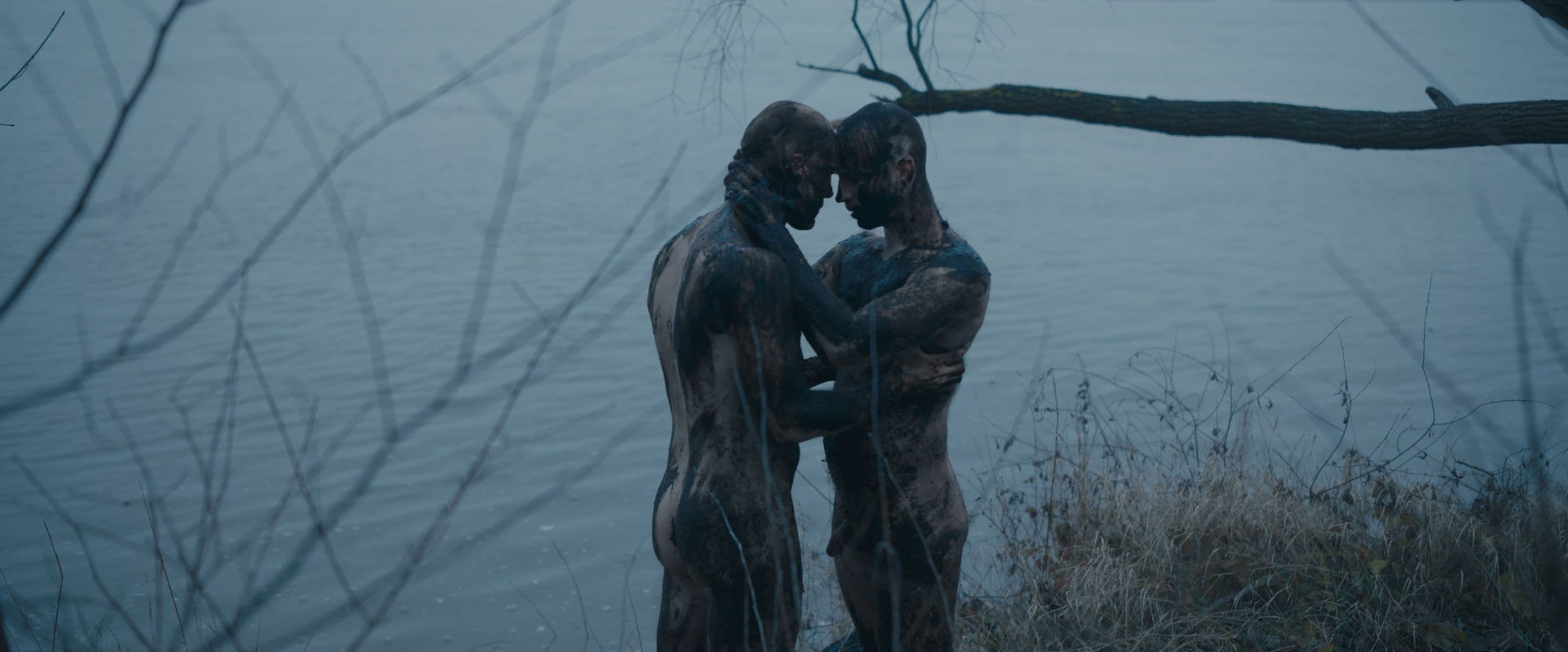 Fotograma promocional de 'Kingdom', de Michał Ciechomski