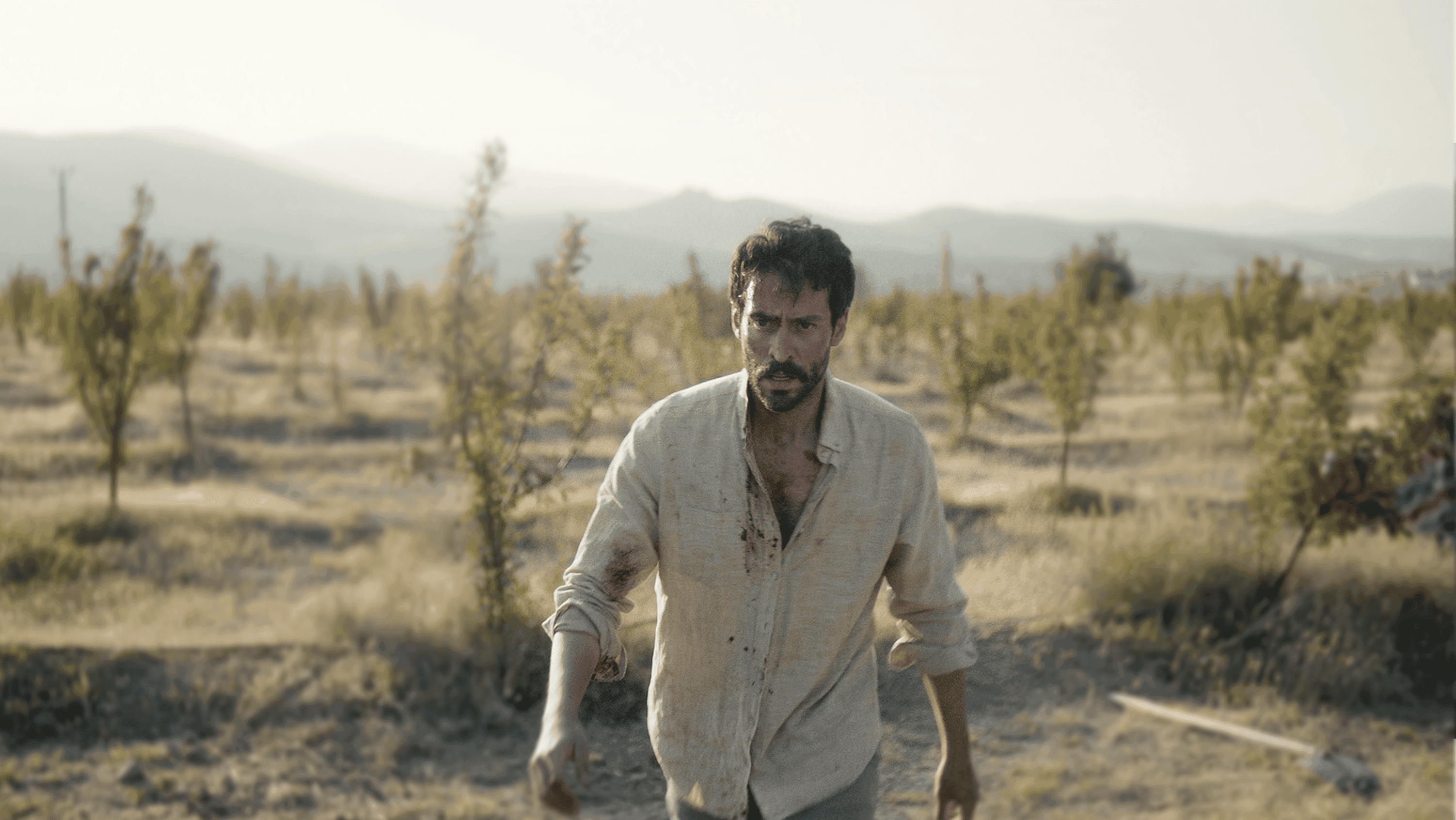 Fotograma promocional de 'The things you kill', de Alireza Khatami