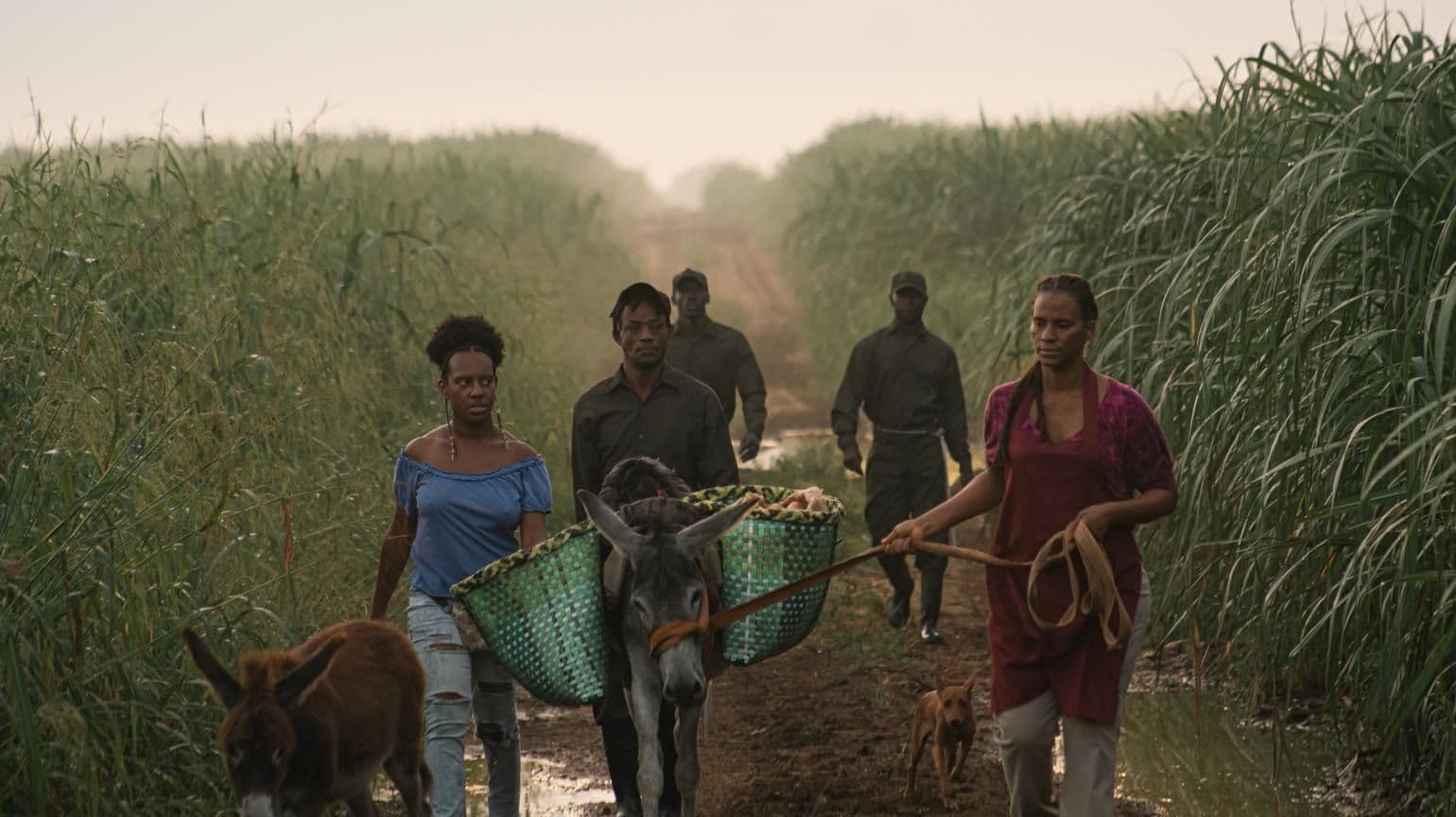 Fotograma de 'Sugar island', película dirigida por Johanné Gómez Terrero