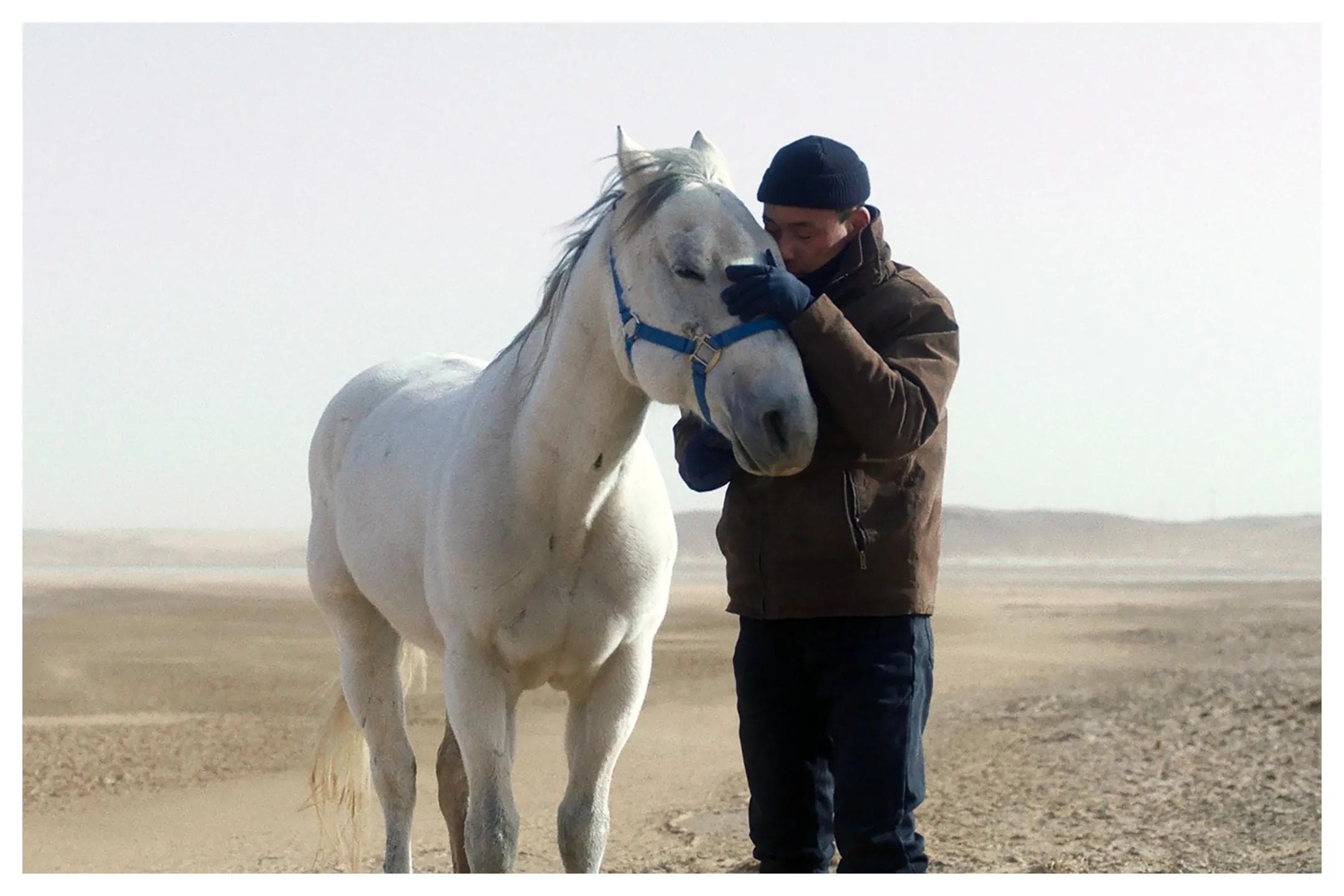 Fotograma de la película 'To kill a mongolian horse', de Xiaoxuan Jiang