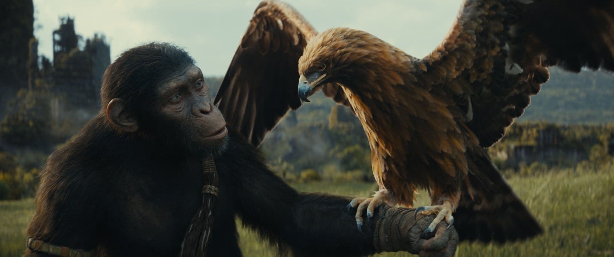 Noa (interpretada por Owen Teague) sujetando un águila en un fotograma promocional de 'El reino del planeta de los simios'