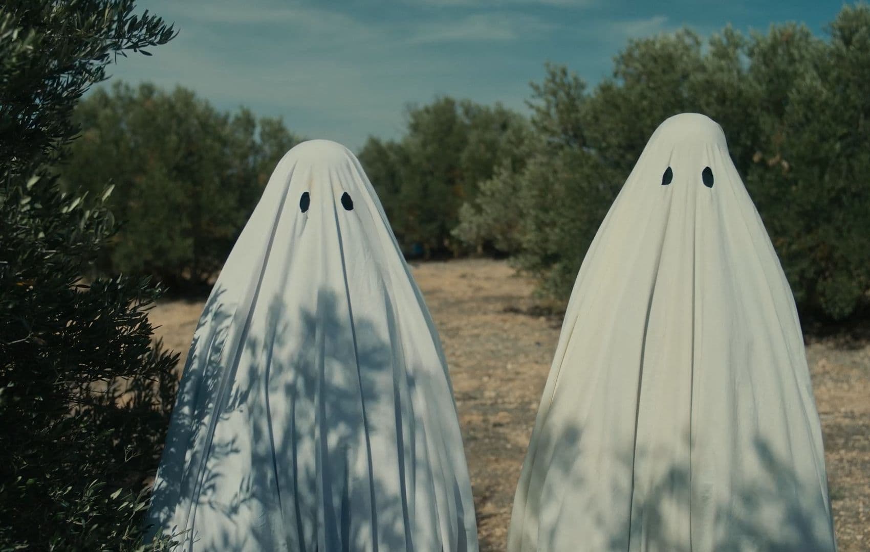 Fotograma de 'Bodegón con fantasmas', película dirigida por Enrique Buleo