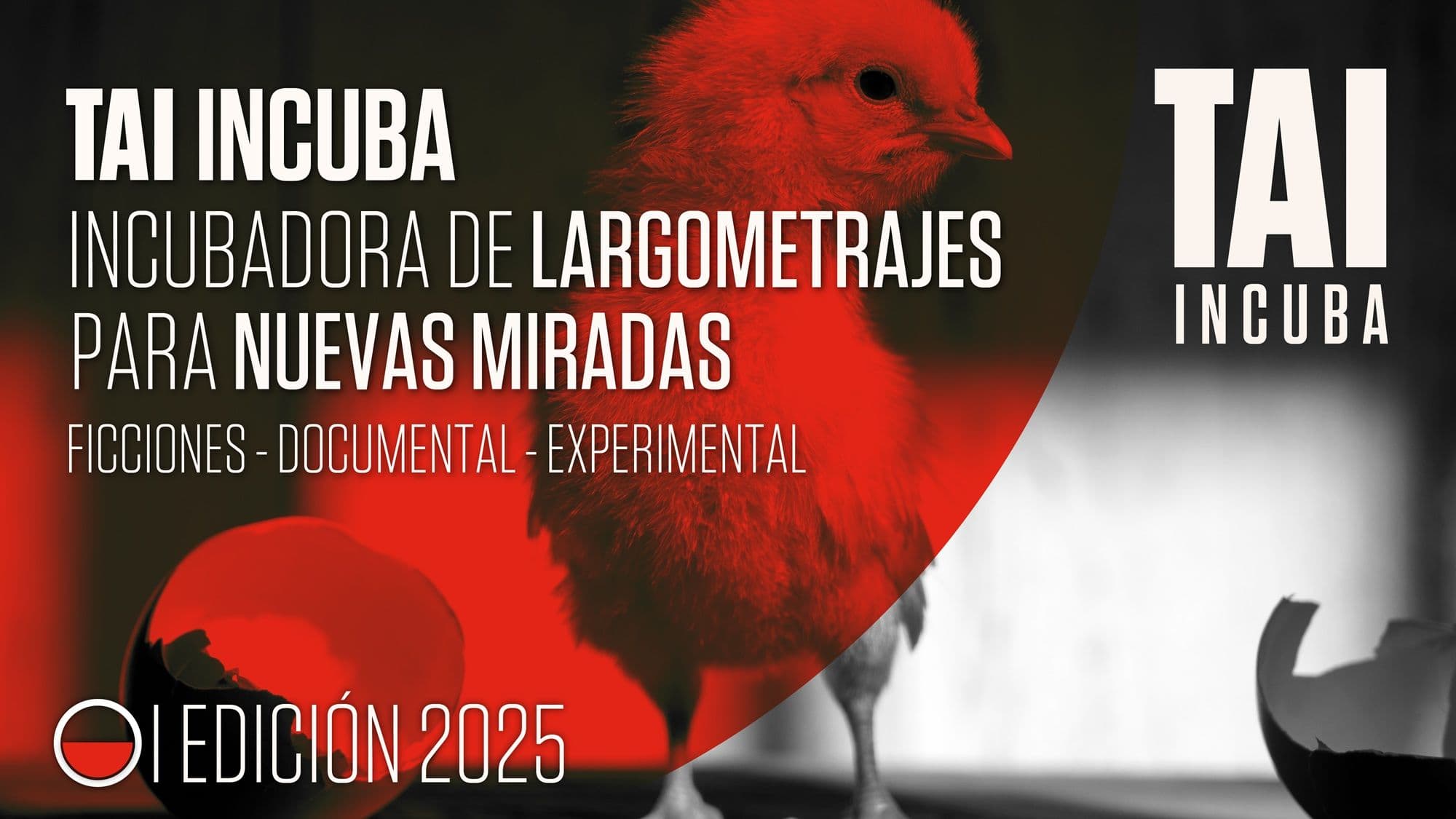 Cartel de la primera edición de TAI Incubadora