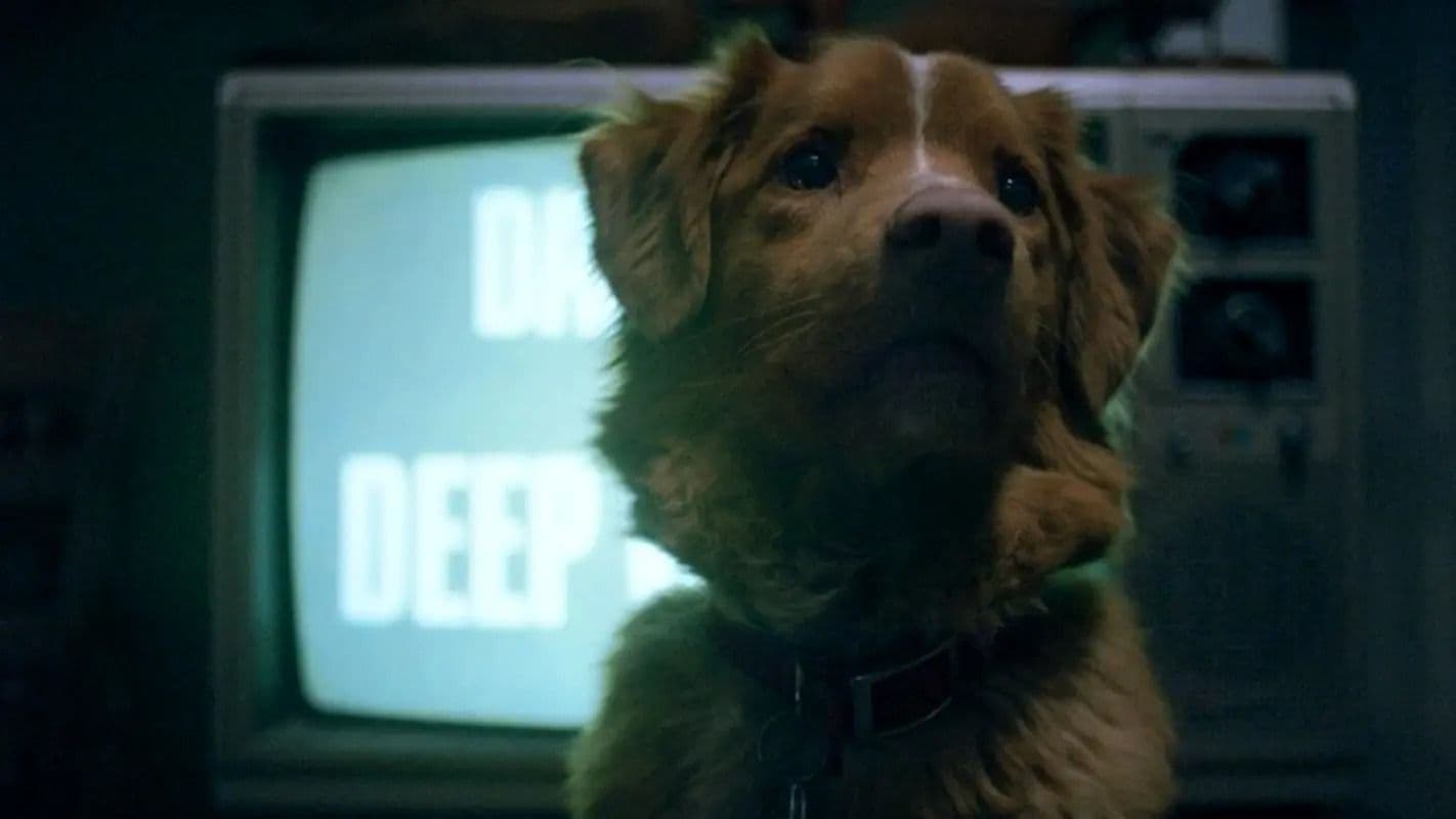 Indy, el perro protagonista de 'Good boy', dirigida por Ben Leonberg