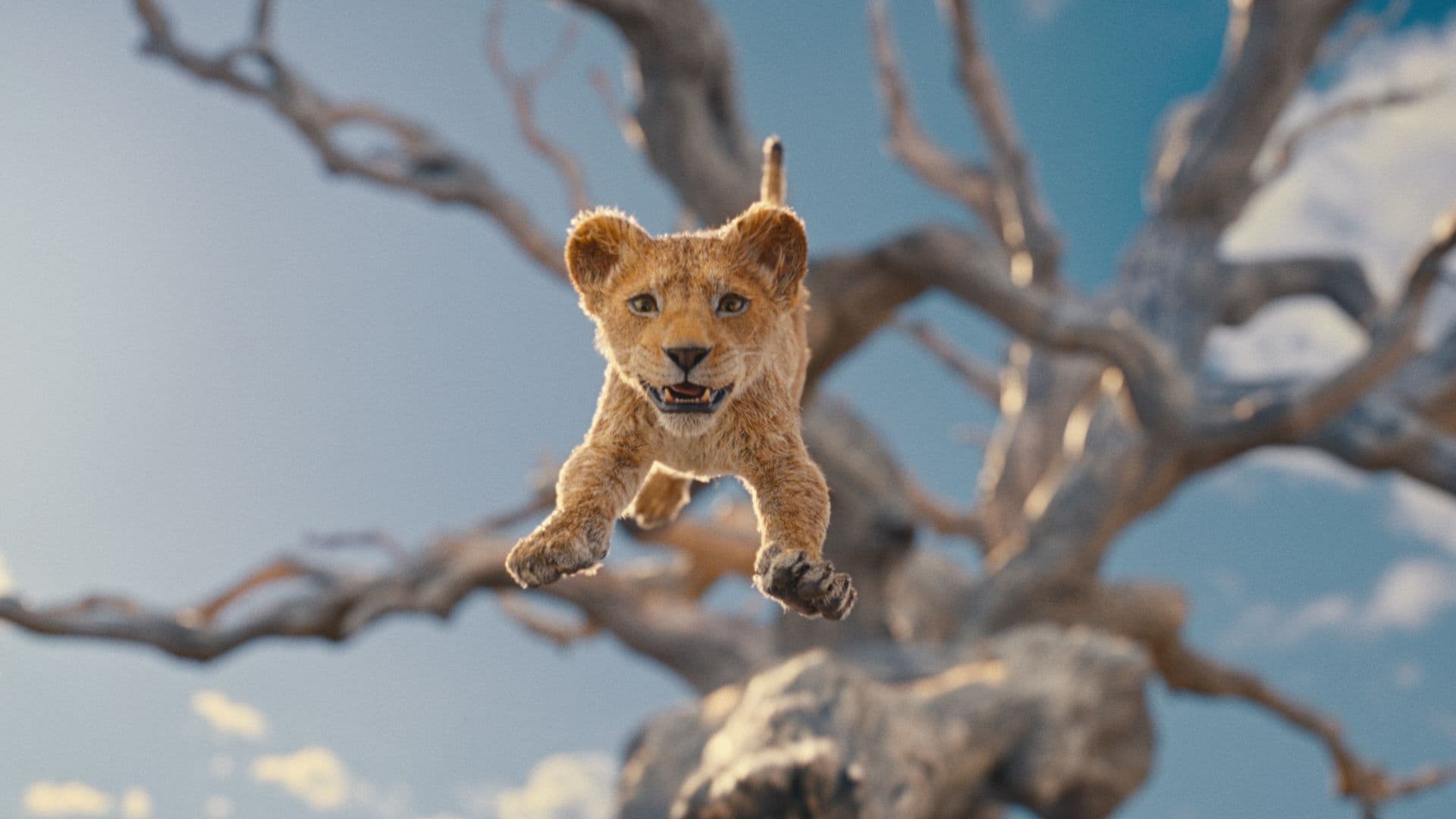 Fotograma promocional de 'Mufasa: El rey león'